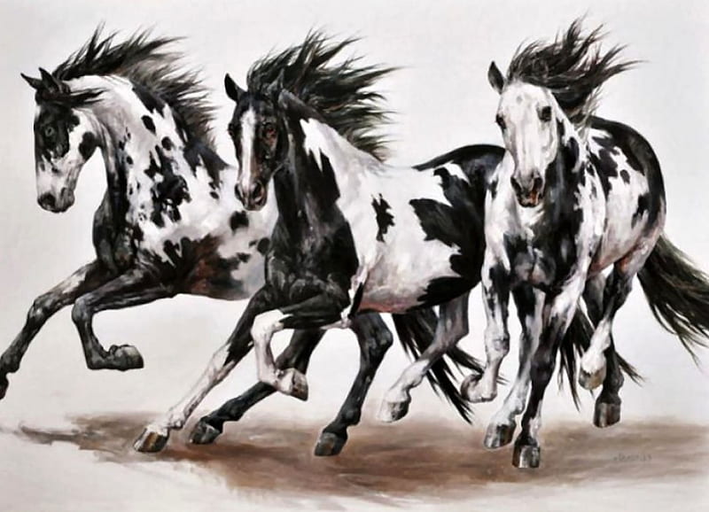 3 Paints - Horses, art, pintos, painting, equine, bonito, horse, artwork, animal, HD wallpaper