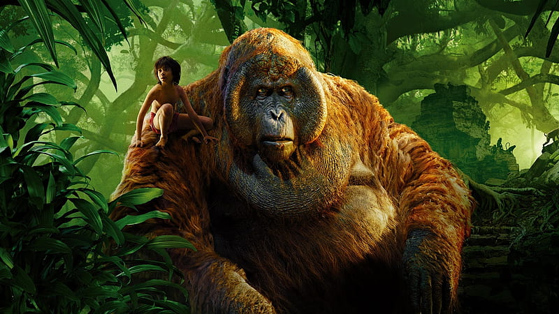 King Louie & Mowgli Jungle Book, HD wallpaper