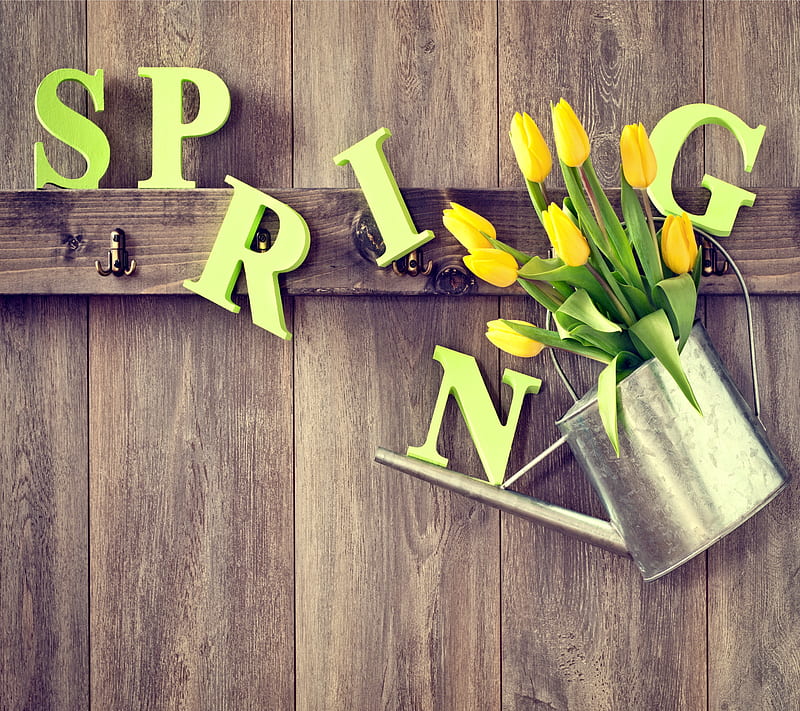 Spring Time, bouquet, flowers, spring, tulips, HD wallpaper
