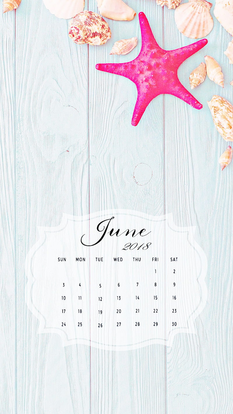 June Seashells, beach, june 2018, june calendar, june2018, junecalendar, sea, seashell, starfish, wood, HD phone wallpaper