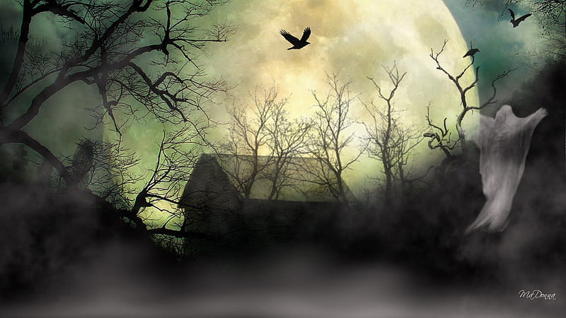 Haunted Barn, haunting, halloween, inscrutable, horrible, unearthly, fog, enigmatical, spooky, ghostlike, ghostly, uncommon, macabre, unaccustomed, curious, supernatural, terrible, ravens, bizarre, weird, fearsome, dead trees, quirky, metaphysical, odd, outlandish, quaint, terrifying, unusual, barn, creepy, enigmatic, full moon, uncanny, preternatural, dreadful, ghastly, horrifying, spectral, puzzling, mysterious, mist, peculiar, spookish, ghoulish, HD wallpaper