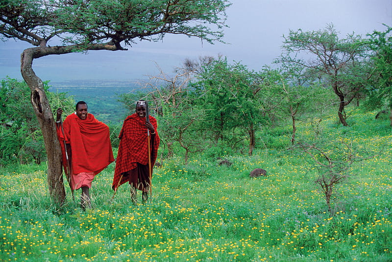 Maasai warriors, tanzania, kenya, africa, maasai, HD wallpaper