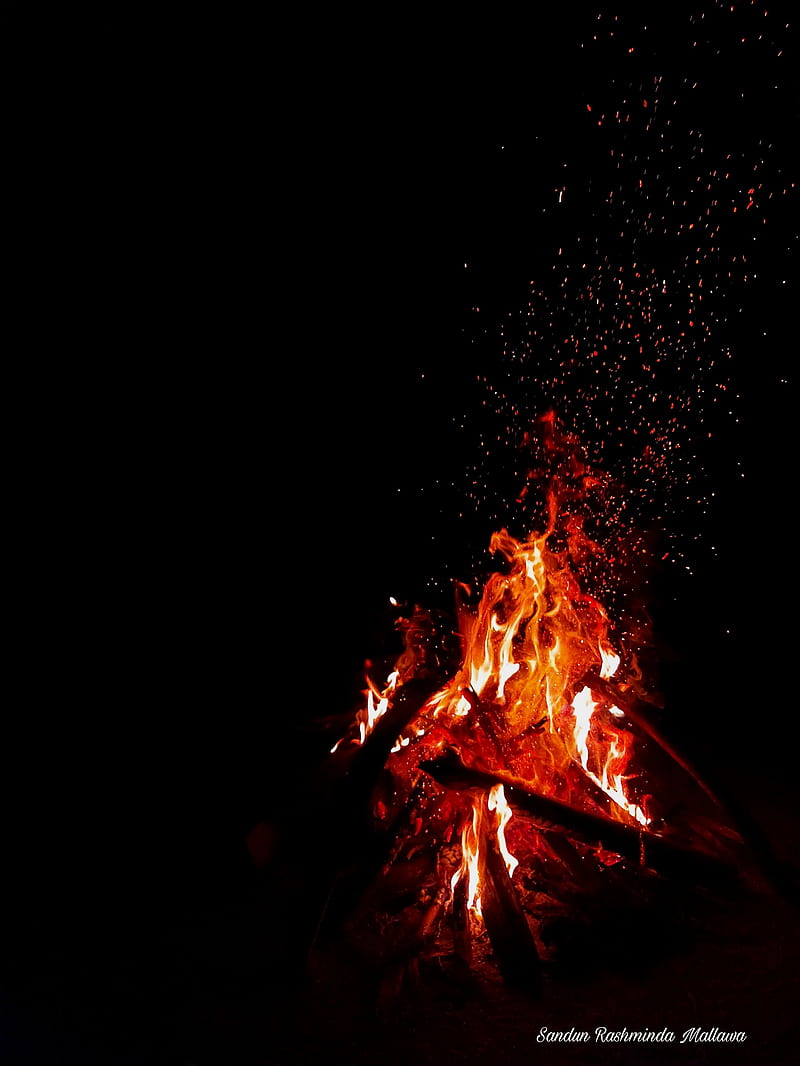 Fire, bonfire, camp, camping, flame, light, mountain, night, red, wood, HD phone wallpaper