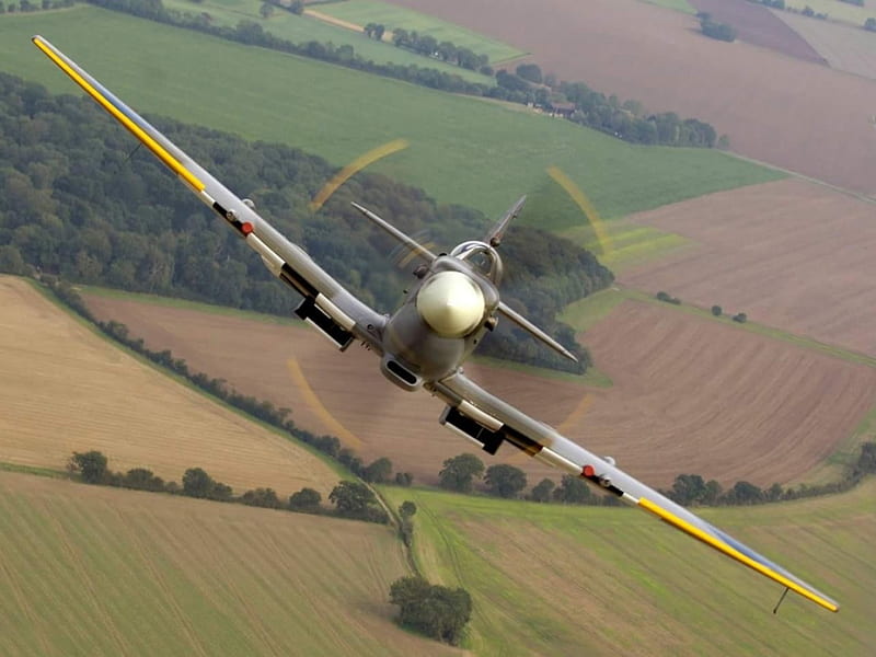 Spitfire, Spit, Warbird, WWII, HD wallpaper
