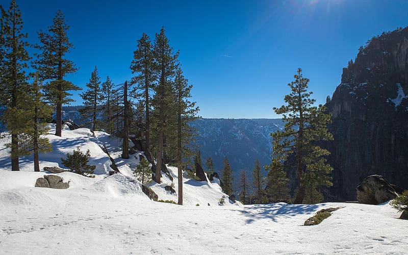 Upper Yosemite Falls Trail, Yosemite National Park, California, trees, mountains, usa, snow, HD wallpaper