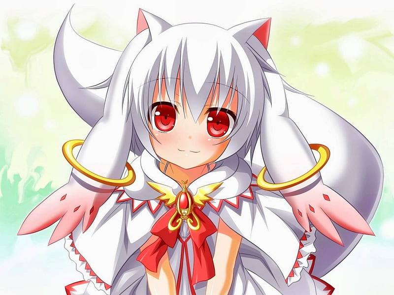 Kyubey Homura Akemi Magical girl Chibi Anime, Chibi, white, mammal png |  PNGEgg