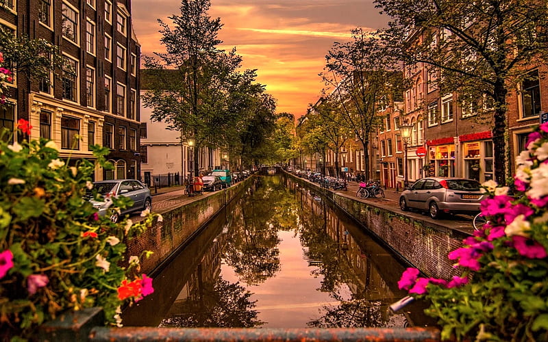 Amsterdam, países bajos, amsterdam, canal, países bajos, casas, calles,  Fondo de pantalla HD | Peakpx