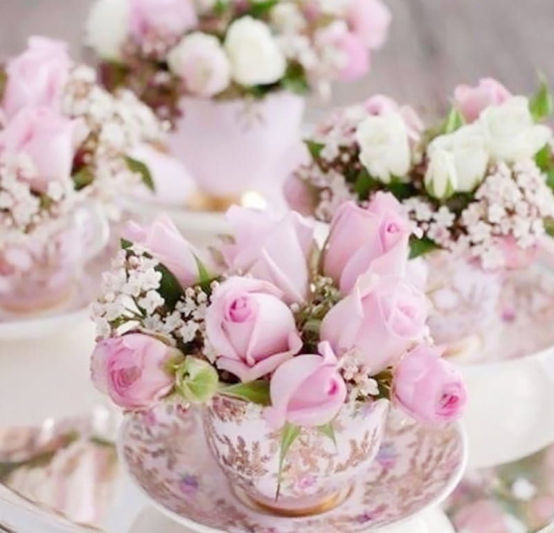 Beautiful roses in cups, silver tray, flowers, flowers arrangements, roses, wedding, pink, cups, decor, HD wallpaper