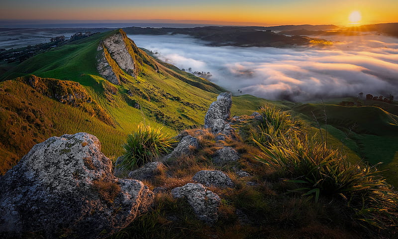 Earth, Sunrise, Dawn, Fog, Morning, Mountain, New Zealand, HD wallpaper