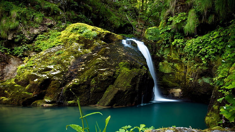 Small Jungle Waterfall, Waterfalls, Rivers, Nature, Jungles, HD wallpaper