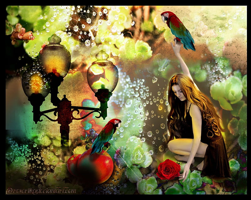 ★Challenge of Apple n Roses★, pretty, wonderful, conceptual, drops, women, sweet, fantasy, manipulation, love, emotional, bright, flowers, face, lovely, models, birds, abstract, lips, trees, panorama, cool, droplets, hop, eyes, colorful, lantern, bonito, digital art, superb, hair, emo, leaves, people, girls, scenery, light, animals, apple, amazing, female, view, colors, butterflies, challenges, roses, plants, magical, HD wallpaper