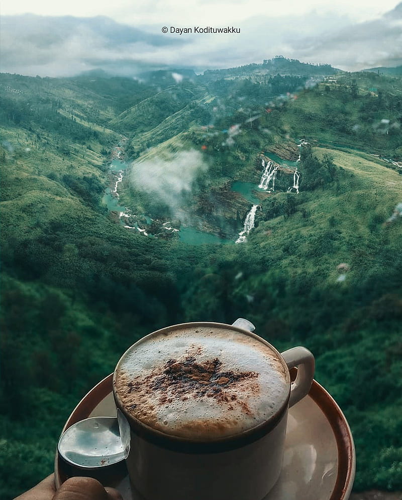 Coffe , bonito, coffee, cup, good, good mornig, good morning, love, morning, tea, you, HD phone wallpaper