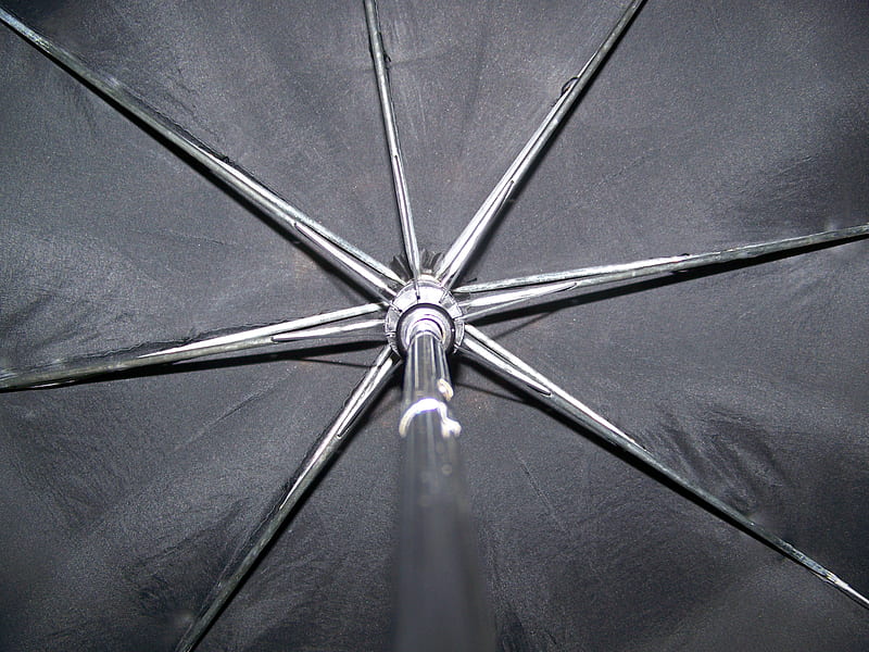 Umbrella, mush, black, brolly, silver, HD wallpaper