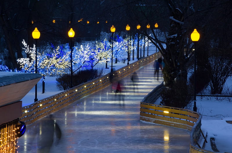 Skating Avenue, lamps, fun, park, trees, lights, winter, avenue, snow, people, ice, skating, HD wallpaper