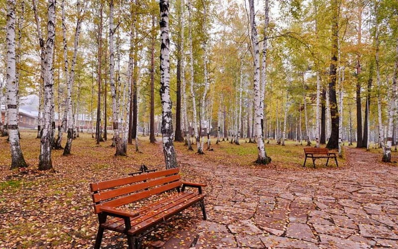 Take a Seat, bench, nature, park, trees, HD wallpaper