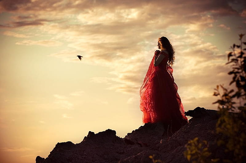 Waiting for You, red, red dress, sky, woman, clouds, girl, bird, cliff, lady, HD wallpaper