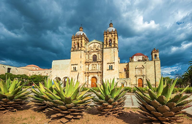Architecture, Cactus, Temple, Church, Dome, Mexico, Temples, Religious, Oaxaca, HD wallpaper
