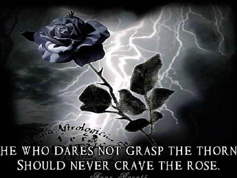 Crave, Rose, Crave The Rose, dark, Quotes, HD wallpaper