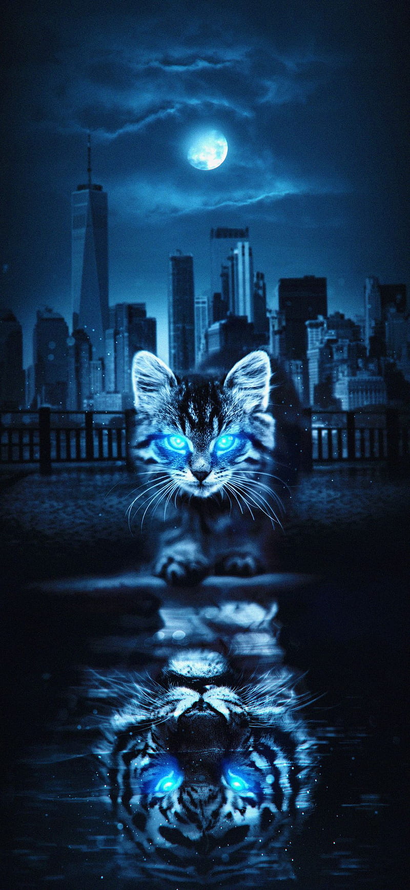 Look at my eyes, blue, cat, city, glow, light, moon, HD phone wallpaper