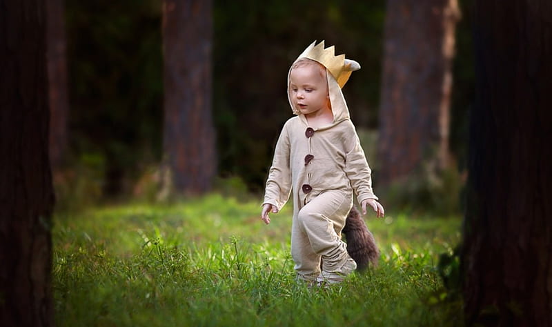 kid, grass, Walk, baby, tree, boy, green, nature, child, HD wallpaper