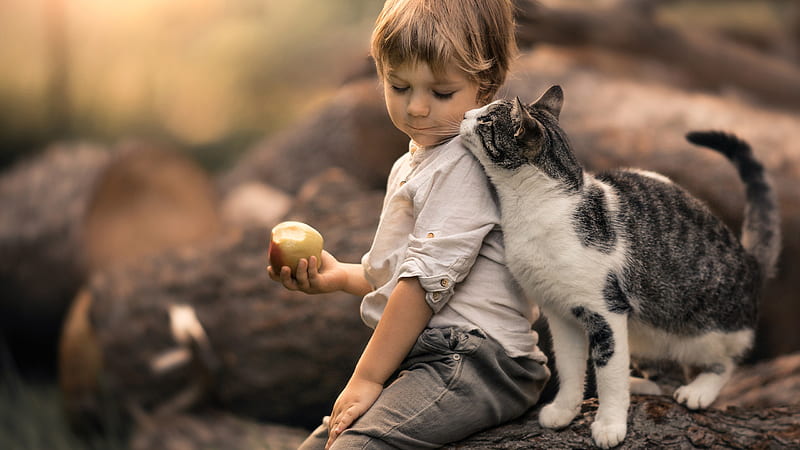 Cute Little Boy Is Sitting On Tree Trunk Near Black White Cat Eating Apple Cute, HD wallpaper