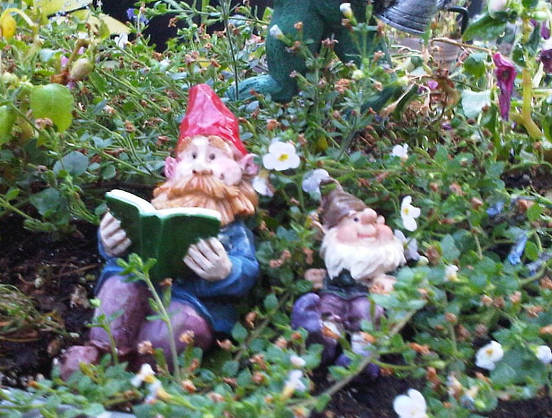 Reading time !, gnomes, flowers, gardening, garden art, HD wallpaper