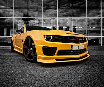 Bumblebee Full HD, HDTV, 1080p 16:9 Wallpapers, HD Bumblebee 1920x1080  Backgrounds, Free Images Download
