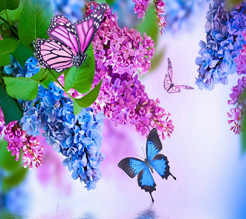 Butterfly, flowers, garden, nature, nice waterfalls, HD wallpaper