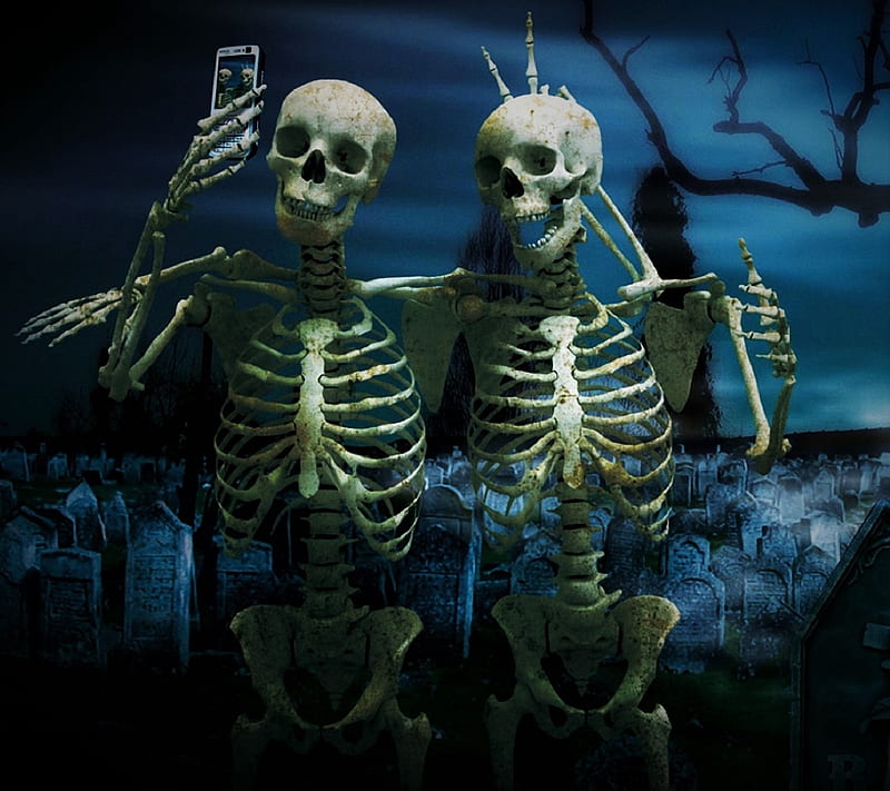 Skeleton Friends, selfi, HD wallpaper