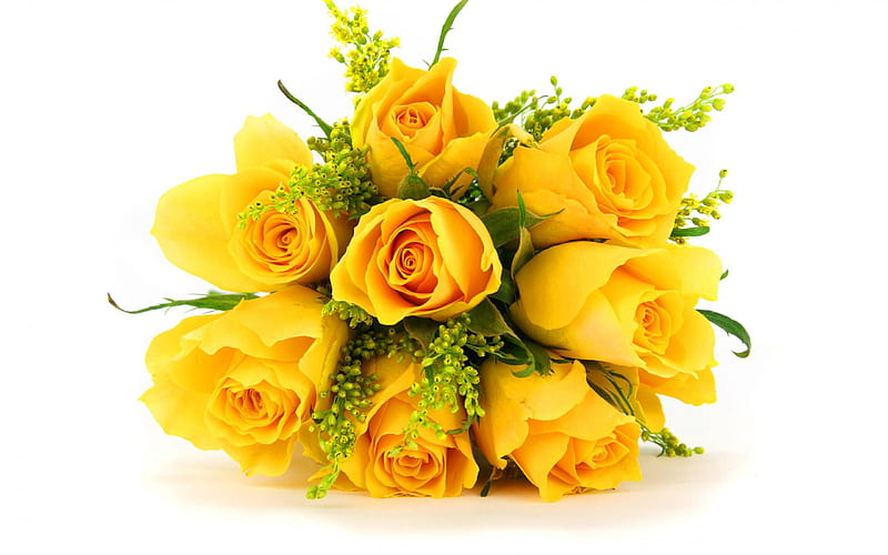 Ramo de rosas amarillas, flores amarillas, flores, amarillo, naturaleza,  rosas, Fondo de pantalla HD | Peakpx