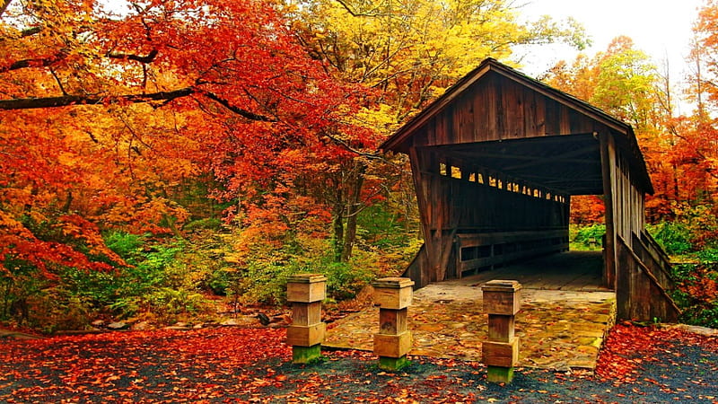 Covered bridge in autumn, forest, colorful, fall, autumn, covered, bonito, trees, foliage, leaves, bridge, river, HD wallpaper