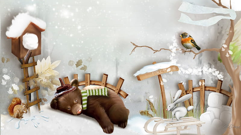 Winter Nap, bird house, rabbit, squirrel, sleep, bear, nap, winter, cute, bird feeder, whimsical, bird, snow, HD wallpaper