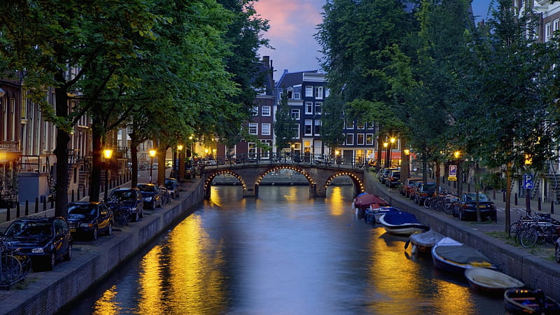 beautiful amsterdam canal at dusk, city, canal, dusk, trees, lights, HD wallpaper