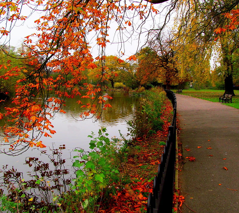 Autumn Park, bench, lake, lakeside, nature, road, trees, HD wallpaper
