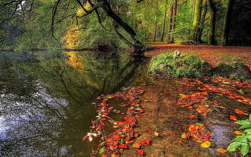 Getting Ready for Winter, rocks, autumn, orange, yellow, bonito, trees, water, green, reflections, HD wallpaper