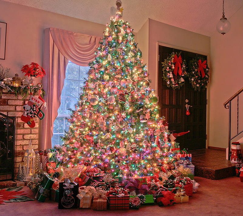 Merry Christmas, christmas, happy, merry, new, pine, tree, year, HD wallpaper