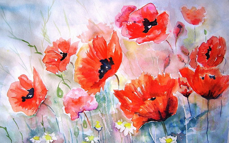 Painting of Poppies, red, pretty, poppies, beautiful painting, awesome, flowers, nature, watercolor, HD wallpaper