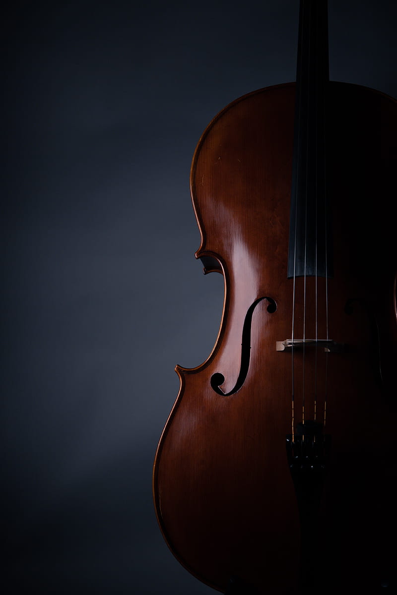 violin, musical instrument, music, HD phone wallpaper