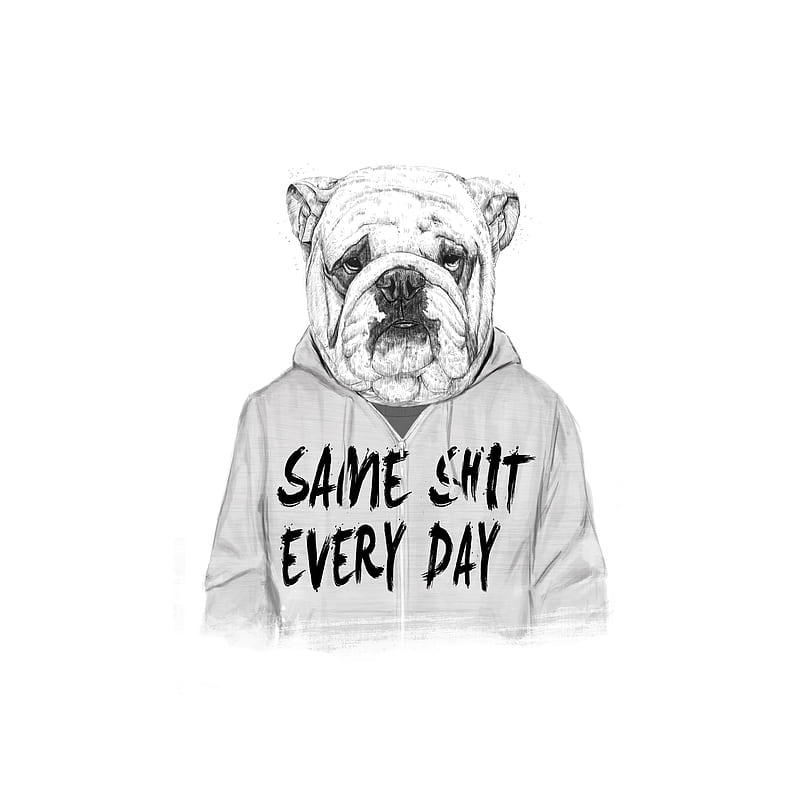 Same s**t, Balazs, animal, black and white, bulldog, dog, drawing, funny, humor, quote, shirt, HD phone wallpaper