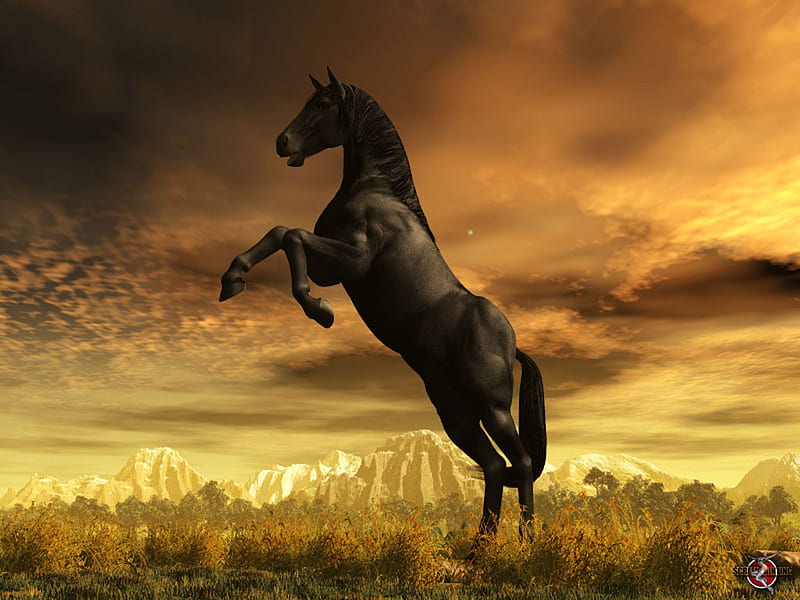 Stallion Welcoming the Sun, 3d, sunrise, clouds, sky, horses, landscape, HD  wallpaper | Peakpx