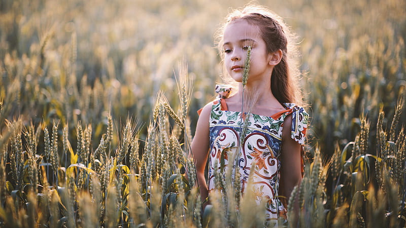 Cute Little Girl Is Standing In The Middle Of Paddy Field Wearing Colorful Printed Dress Cute, HD wallpaper