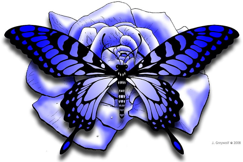 Blue Rose Butterfly Butterflys Roses Hd Wallpaper Peakpx 