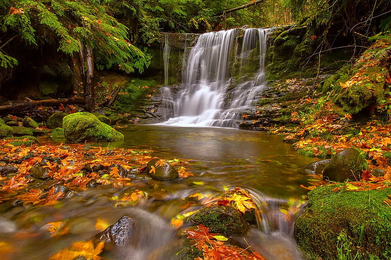 Autumn waterfall, fall, pretty, colorful, autumn, falling, bonito ...