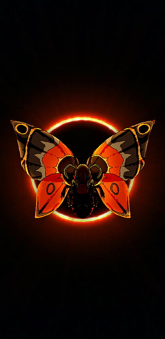 Terraria Bosses  Butterfly wallpaper iphone, Cute galaxy