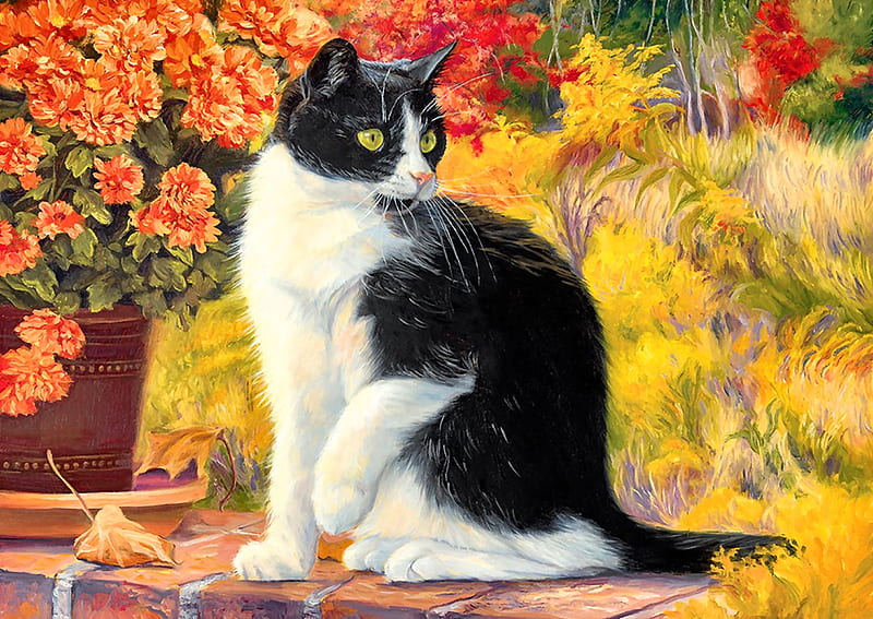 Looking Afar - Cat F, art, vase, bonito, pets, artwork, animal, feline, painting, wide screen, flowers, cats, HD wallpaper