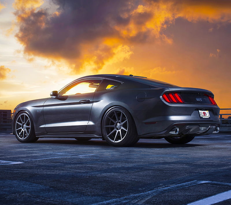 Sunset Stang, auto, car, ford, mustang, HD wallpaper | Peakpx