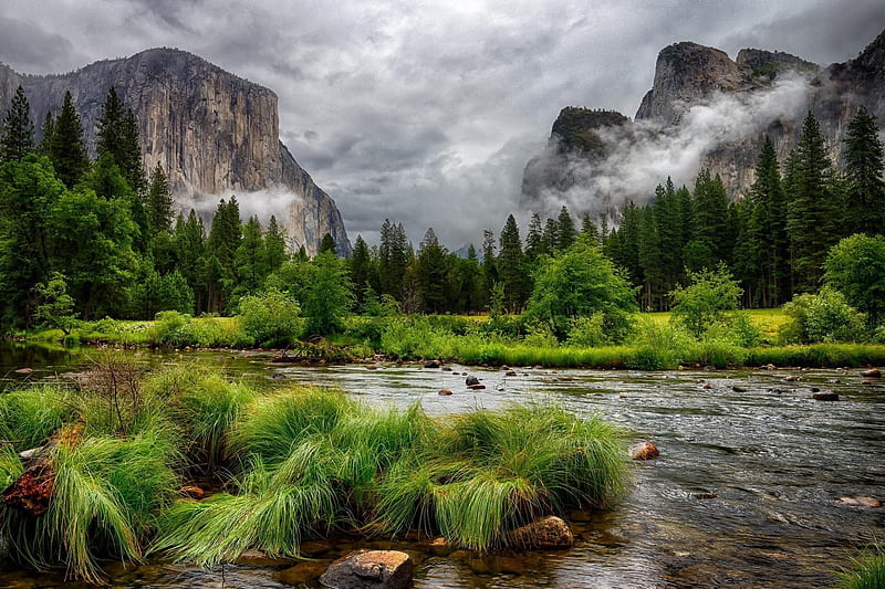 water, grass, forest, nature, mountain, trees, pine, mountains, landscape, clouds, r, overcast, cliff, river, HD wallpaper