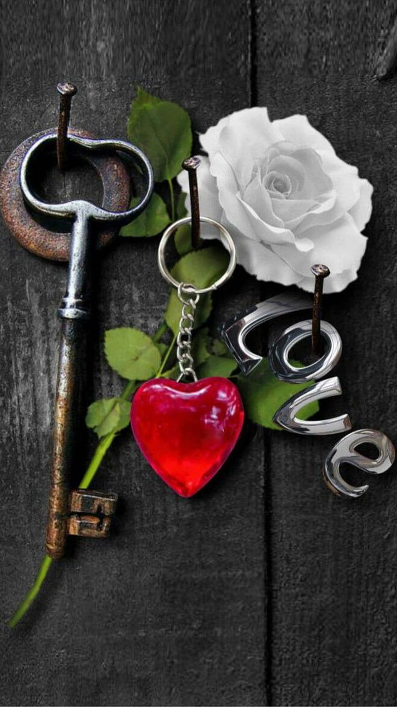 love, black wood, heart, key, red, rose, white, HD phone wallpaper