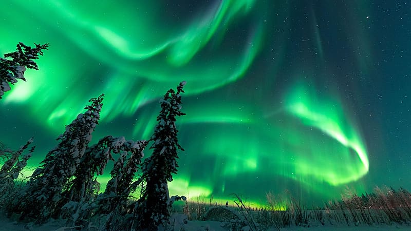 The Aurora Near North Pole, Alaska, usa, winter, northern lights, snow, landscape, trees, colors, HD wallpaper