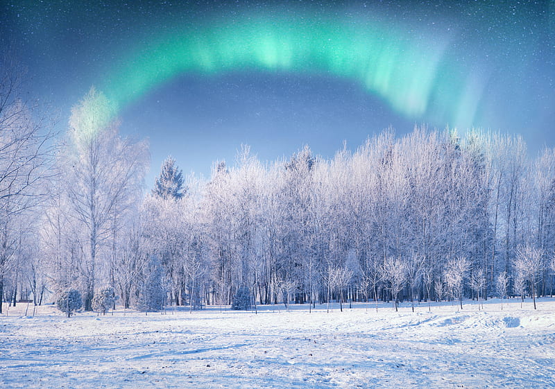 Earth, Aurora Borealis, Nature, Snow, Winter, HD wallpaper